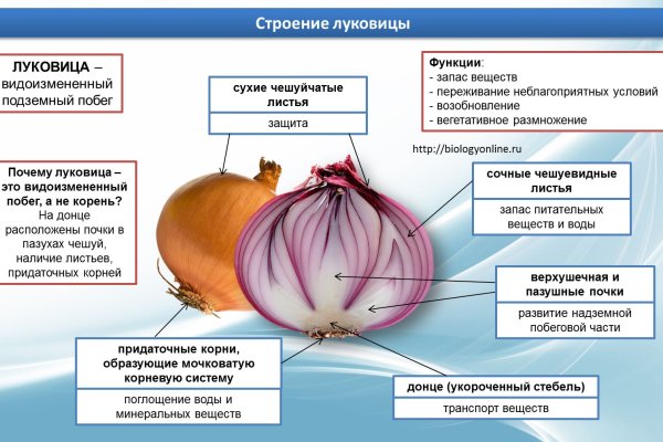 Ссылки тор браузер