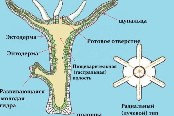 Кракен вход рабочий