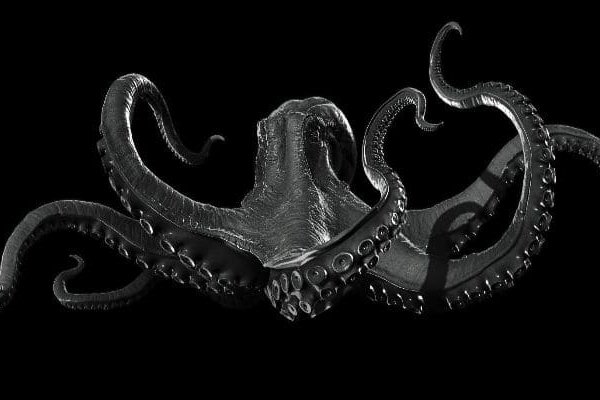 Kraken 24 at