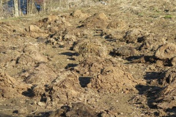 Через какой браузер можно зайти на кракен