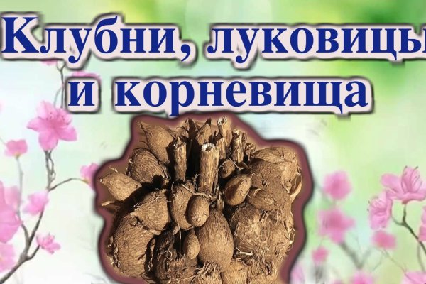 Кракен вход официальный сайт
