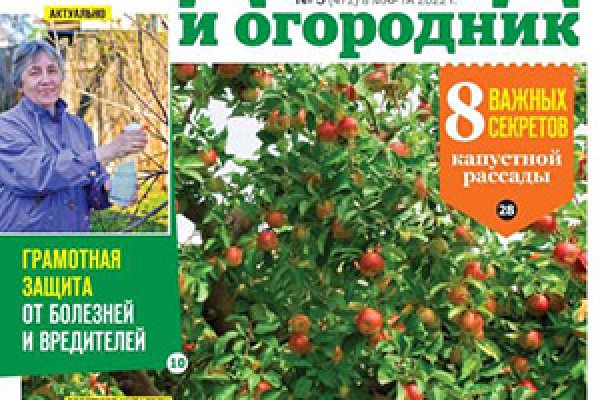 Как заказать на кракене