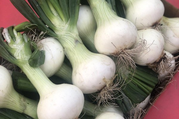 Сайты по продаже наркотиков
