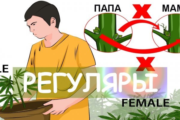 Оригинальная ссылка на магазин кракен
