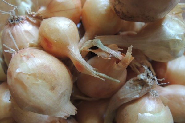 Сайт кракен официальный ссылка onion