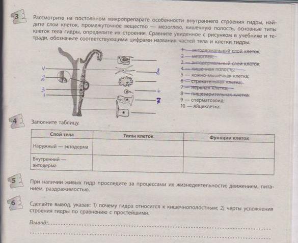 Dark net официальный сайт