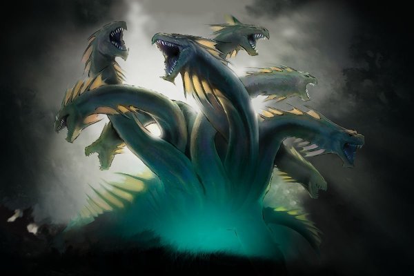 Kraken official